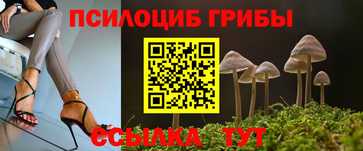 Псилоцибиновые грибы ЛСД Кимовск