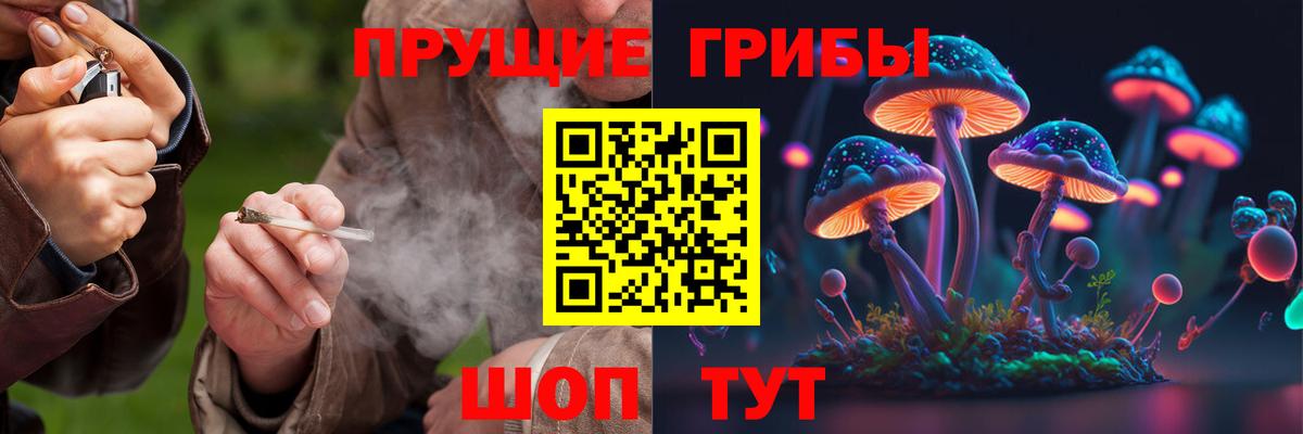 Галлюциногенные грибы Magic Shrooms  Вход с VPN  Галлюциногенные грибы Magic Shrooms  Кимовск 